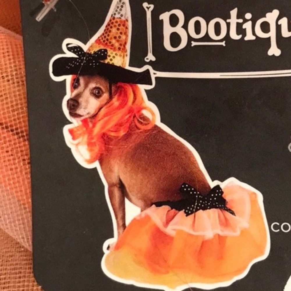 SWEET WITCH Dog Cat Costume Halloween Sz S/M
